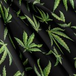 IMPAR Legínovina – Cannabis – Hledejceny.cz
