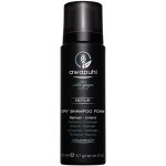 Paul Mitchell Awapuhi Wild Ginger Repair Dry Shampoo Foam 70 ml – Zbozi.Blesk.cz