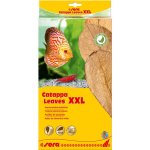 Sera Catappa Leaves XXL 32 cm, 10 ks – Hledejceny.cz