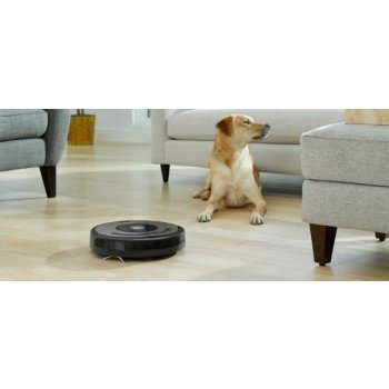 iRobot Roomba 676