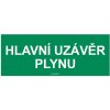 Piktogram Bezpečnostní tabulka - Hlavní uzávěr plynu