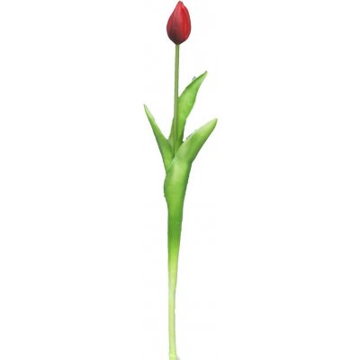 Tulipán - Tulip červený V44 cm