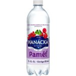 Hanácká kyselka paměť 0,7 l – Zboží Dáma