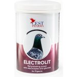 CEST Pharma ELEKTROLIT 600 g – Hledejceny.cz