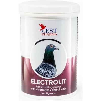 CEST Pharma ELEKTROLIT 600 g – Hledejceny.cz