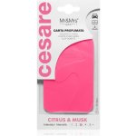 Mr & Mrs Fragrance Cesare Citrus & Musk | Zboží Auto