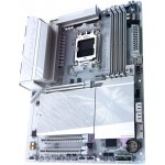 Gigabyte B850 AORUS ELITE WIFI7 ICE – Zboží Živě