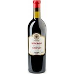 Tavankari Červené Saperavi gruzínské suché červené 2018 12,5% 0,75 l (holá láhev) – Hledejceny.cz