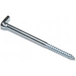 Skoba s křížovou drážkou, 100x6,0mm, Zn – Zbozi.Blesk.cz