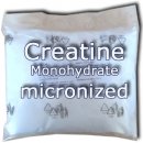 Explomax Creatine monohydrate micronized 300 g