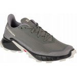 Salomon Alphacross 5 473133 29 W0 Pewter/Black/Ghost Gray – Zboží Dáma