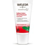 Weleda šalvějový balzám na dásně 30 ml – Hledejceny.cz