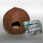 JBL Cocos Cava 3/4 L – Hledejceny.cz