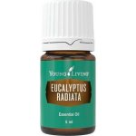 Young Living Eukalyptus radiata esenciální olej 15 ml – Hledejceny.cz