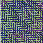 Animal Collective - Merriweather Post Pavilion CD – Zboží Dáma