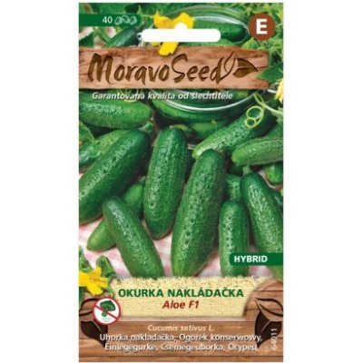 MoravoSeed CZ a.s. MoravoSeed Okurka nakládačka ALOE F1