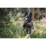 Pomppa Pláštěnka zateplená Kevyt – Zbozi.Blesk.cz