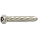 Pojistný vrut 4.8x38 TX25 PIN, nerez A2 (100 ks) – Hledejceny.cz