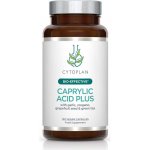 Cytoplan Caprylic Acid Plus Kyselina kaprylová 60 kapslí – Hledejceny.cz