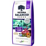 Velxara Balanced FM Dog Adult Monoprotein Lamb & Rice 12 kg – Hledejceny.cz