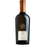 Villa Pani Gavi DOCG 12% 0,75 l (holá láhev) – Hledejceny.cz