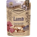 Carnilove Raw Freeze Dried Snacks Lamb 60 g – Zbozi.Blesk.cz