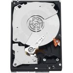 WD RE4 250GB, SATA, 7200rpm, 64MB, WD2503ABYX – Hledejceny.cz