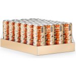 Fuelix drink pomeranč 24 x 250 ml – Zbozi.Blesk.cz