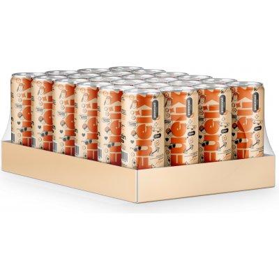 Fuelix drink pomeranč 24 x 250 ml – Zbozi.Blesk.cz