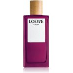 Loewe Earth parfémovaná voda unisex 100 ml – Hledejceny.cz