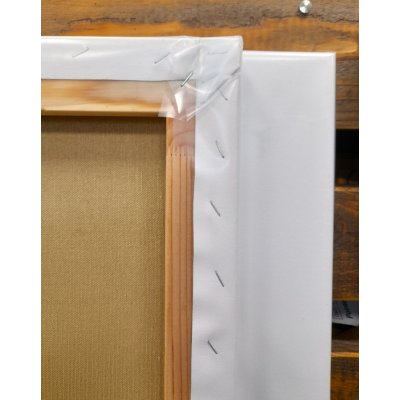 Profi malířské plátno umělecké 60x80 cm – Zbozi.Blesk.cz