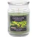 Candle-Lite Balsam Forest 510,2 g – Hledejceny.cz