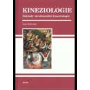 Kineziologie, Základy strukturální kinezologie