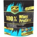 Z-Konzept 100 Whey Protein 500 g