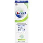 Procter & Gamble Crest Gum And Breath Purify Deep Clean pro svěží dech 116 g – Hledejceny.cz
