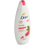 Dove GoFresh Revive granát.jablko sprchový gel 250 ml – Zboží Mobilmania