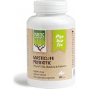 MasticLife PreBiotic Chios Masticha 160 kapslí