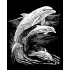 Škrábací  obrázek Royal & Langnickel Stříbrný vyškrabovací obrázek Delfíni