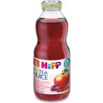 HiPP ŠŤÁVA BIO Šípkový čaj+ovocná šťáva 0,5 l – Zboží Dáma