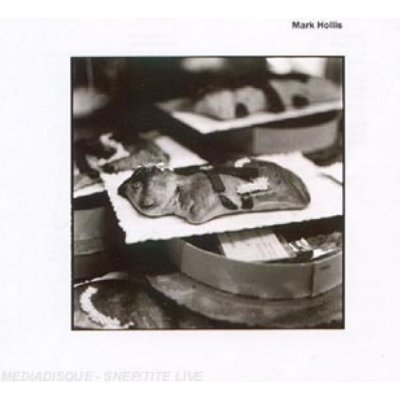 Hollis Mark - Formerly Of Talk Talk CD – Zbozi.Blesk.cz
