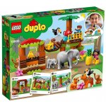 LEGO® DUPLO® 10906 Tropický ostrov – Hledejceny.cz