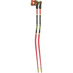 Leki WCR GS 3D 2025/26 – Hledejceny.cz