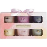 Yankee Candle Art in the Park 6 x 37 g – Hledejceny.cz