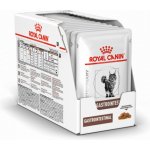 Royal Canin Veterinary Diet Cat Gastrointestinal 12 x 85 g – Zbozi.Blesk.cz