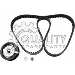 Sada rozvodového řemene Schaeffler INA 530 0174 10 – Hledejceny.cz