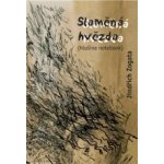 Slaměná hvězda hlušina notebook - Jindřich Zogata – Hledejceny.cz