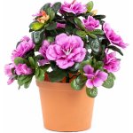 Umělá květina Azalka v květináči fialová, 21 x 10 x 10 cm – Zboží Dáma