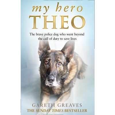 My Hero Theo