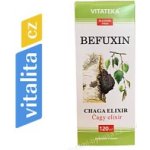 Befuxin Čaga eliksyras 120 ml – Hledejceny.cz