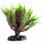 Repti Zoo Alternanthera Colorata 20 cm – Zboží Dáma